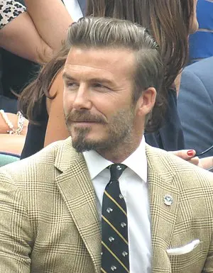 David Beckham Portrait