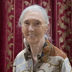 Jane Goodall Portrait