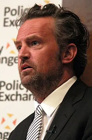 Matthew Perry Portrait