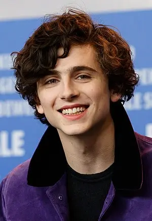 Timothee Chalamet Portrait